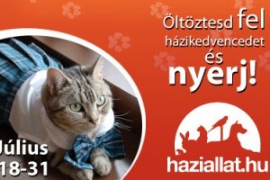 Öltöztesd fel házikedvencedet és nyerj! - nyereményjáték a FaceBook-on