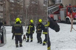 Egy nyolcadik emeleti lakás erkélyén lógott órákat egy pitbull